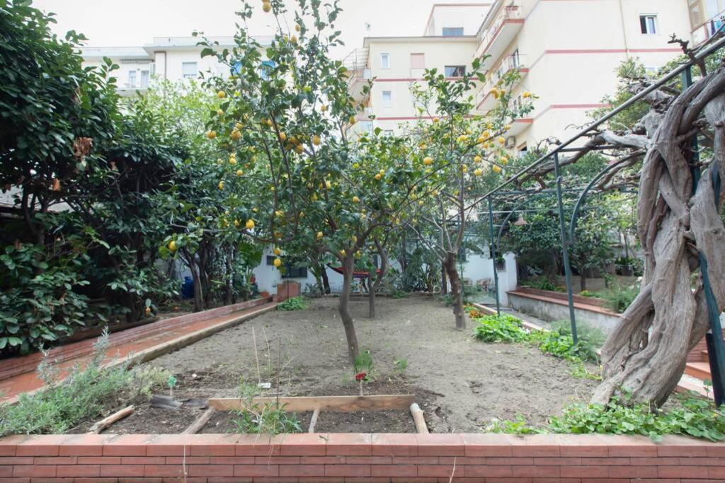 비코에쿠엔세 Oltre Il Giardino 빌라 외부 사진